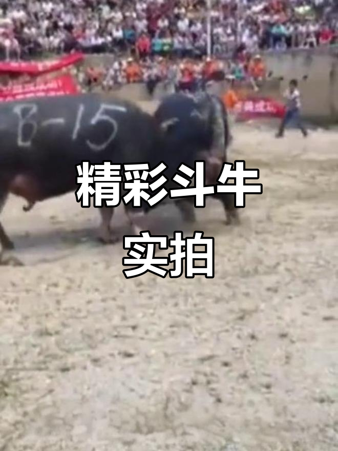 内马尔迎来十赛季出色发挥，法国队观众热烈欢呼！