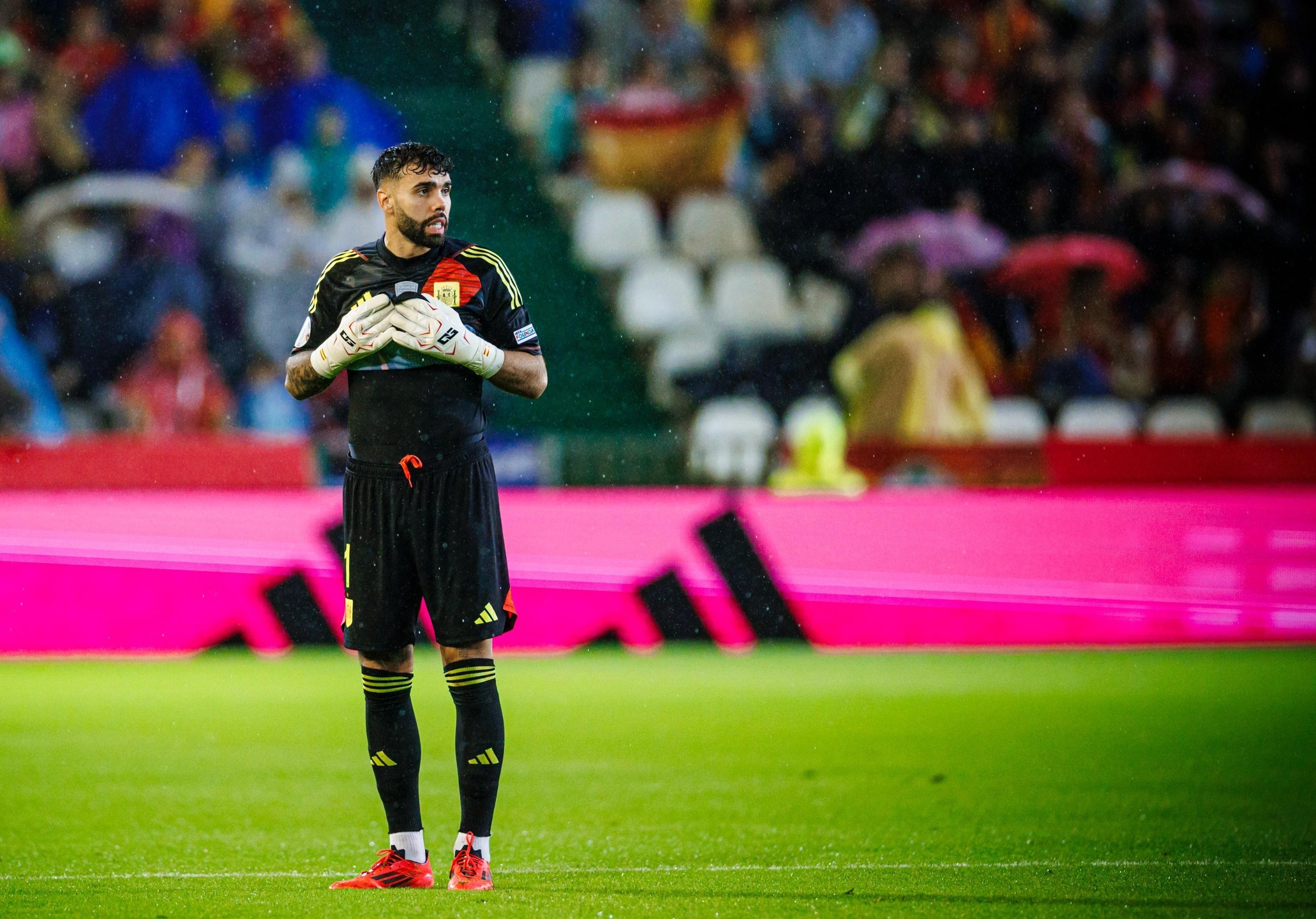 塔图姆新星刷新纪录表现突出，西班牙队前途光明！